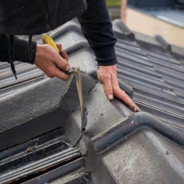 Roof Cleaning Services